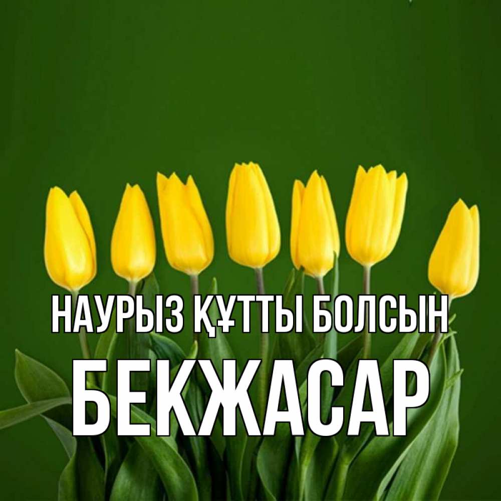 Күн сайын ашық хат с именем, Бекжасар Наурыз құтты болсын желтого цвета 3 Онлайн тегін жүктеп алу тілектері бар керемет карта 