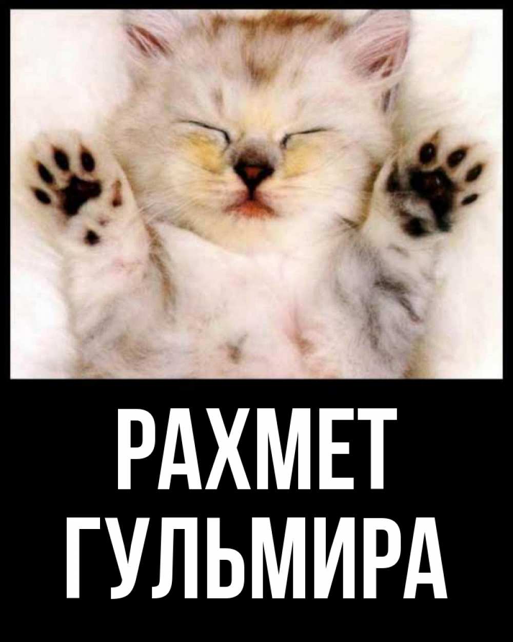 Күн сайын ашық хат с именем, Гульмира рахмет маленький котенок Онлайн тегін жүктеп алу тілектері бар керемет карта 