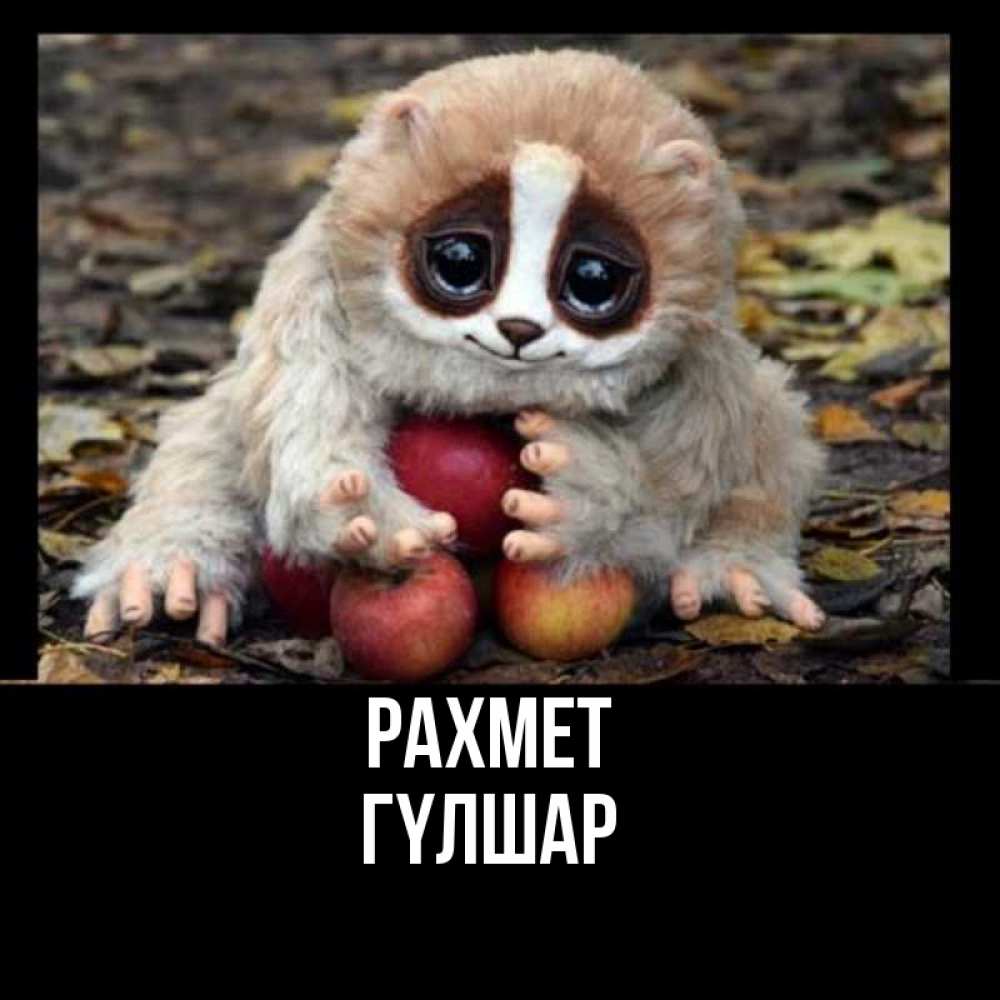 Күн сайын ашық хат с именем, ГҮЛШАР рахмет прикольное животное Онлайн тегін жүктеп алу тілектері бар керемет карта 