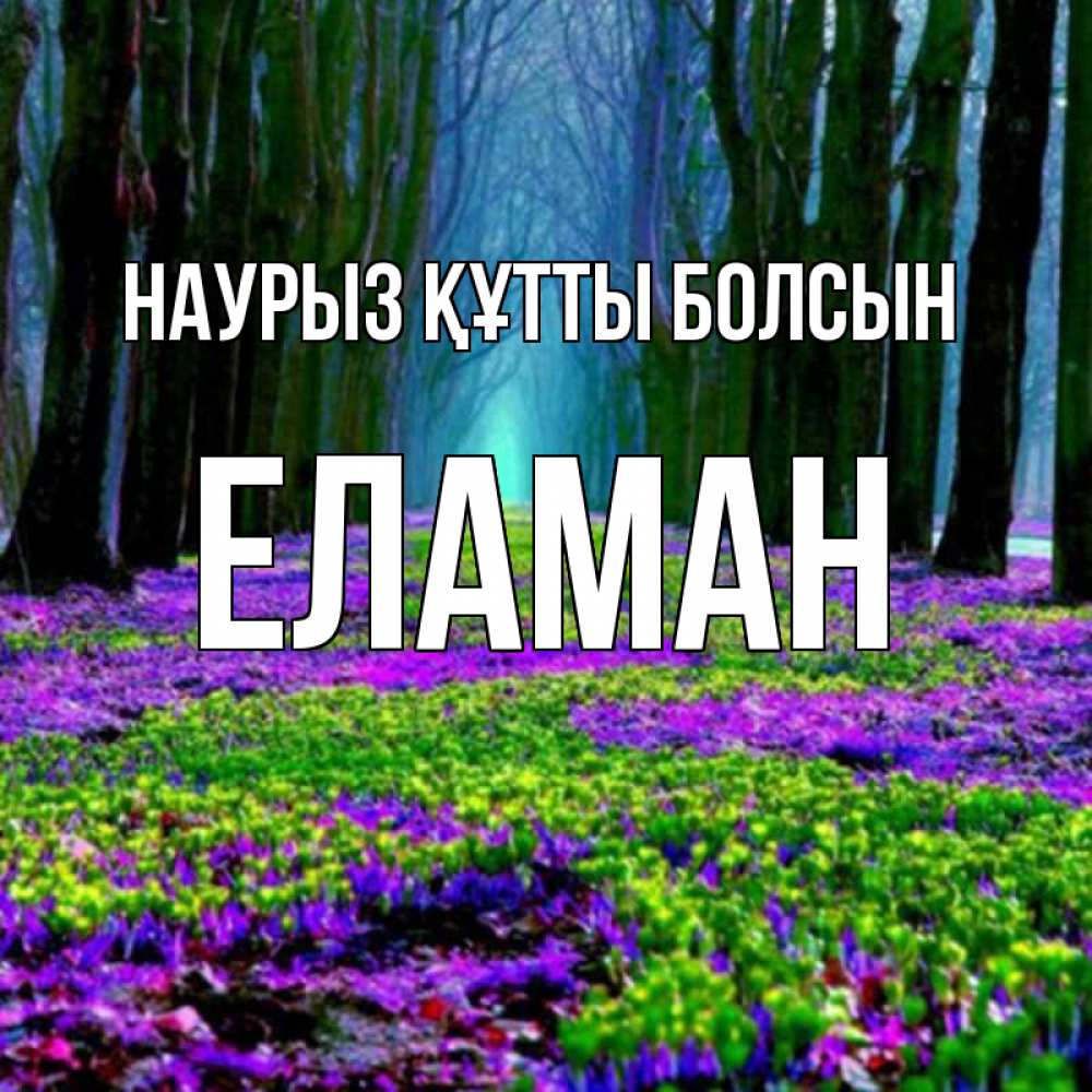 Күн сайын ашық хат с именем, Еламан Наурыз құтты болсын фиолетовые цветы в лесу 1 Онлайн тегін жүктеп алу тілектері бар керемет карта 