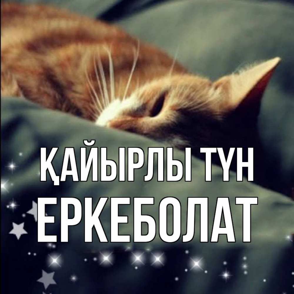 Күн сайын ашық хат с именем, Еркеболат Қайырлы түн кроватка Онлайн тегін жүктеп алу тілектері бар керемет карта 