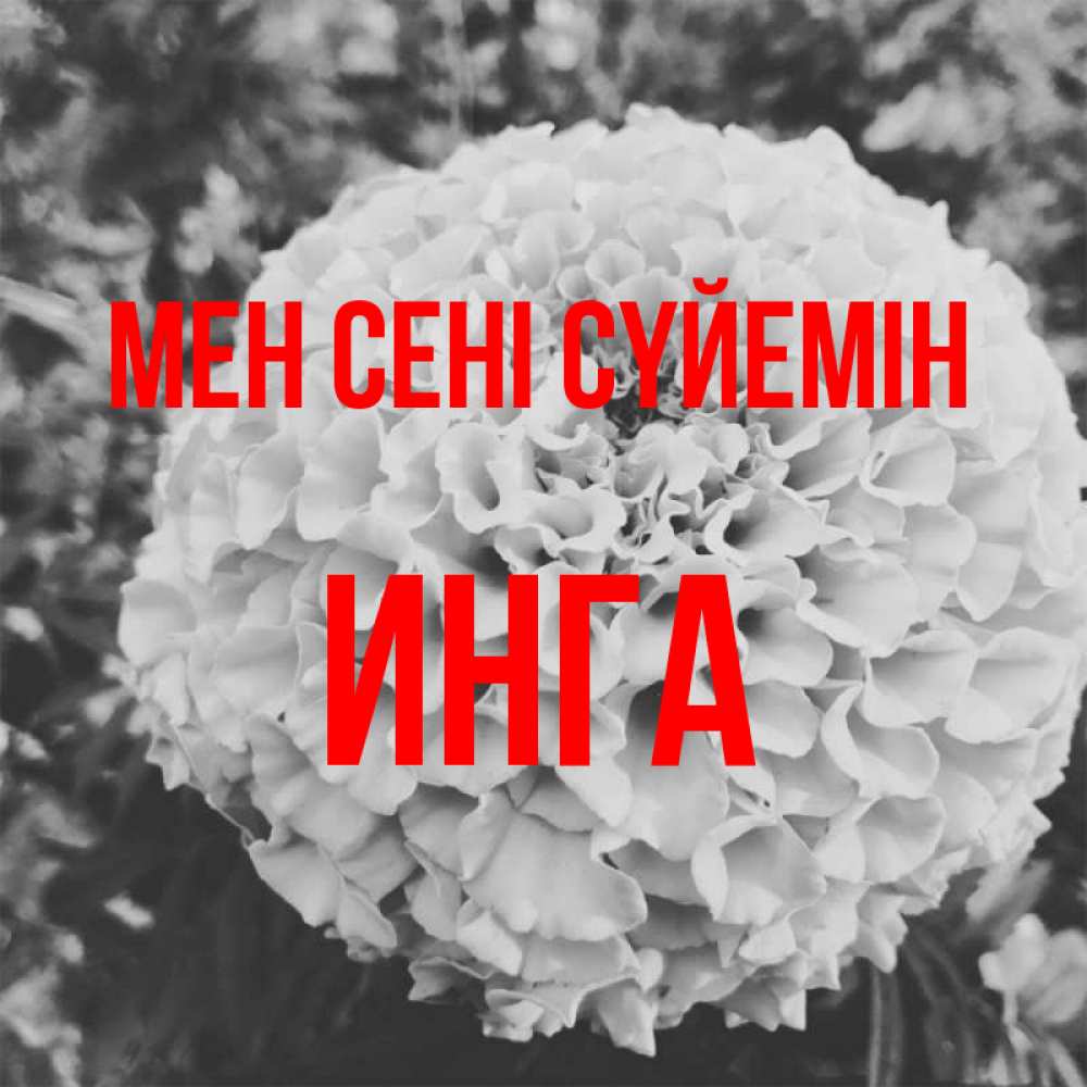 Күн сайын ашық хат с именем, Инга Мен сені сүйемін подпись Онлайн тегін жүктеп алу тілектері бар керемет карта 