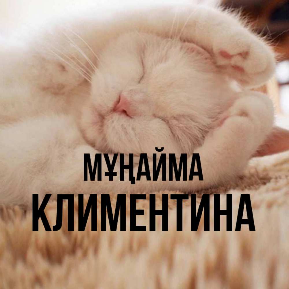 Күн сайын ашық хат с именем, Климентина Мұңайма Котенок спит Онлайн тегін жүктеп алу тілектері бар керемет карта 