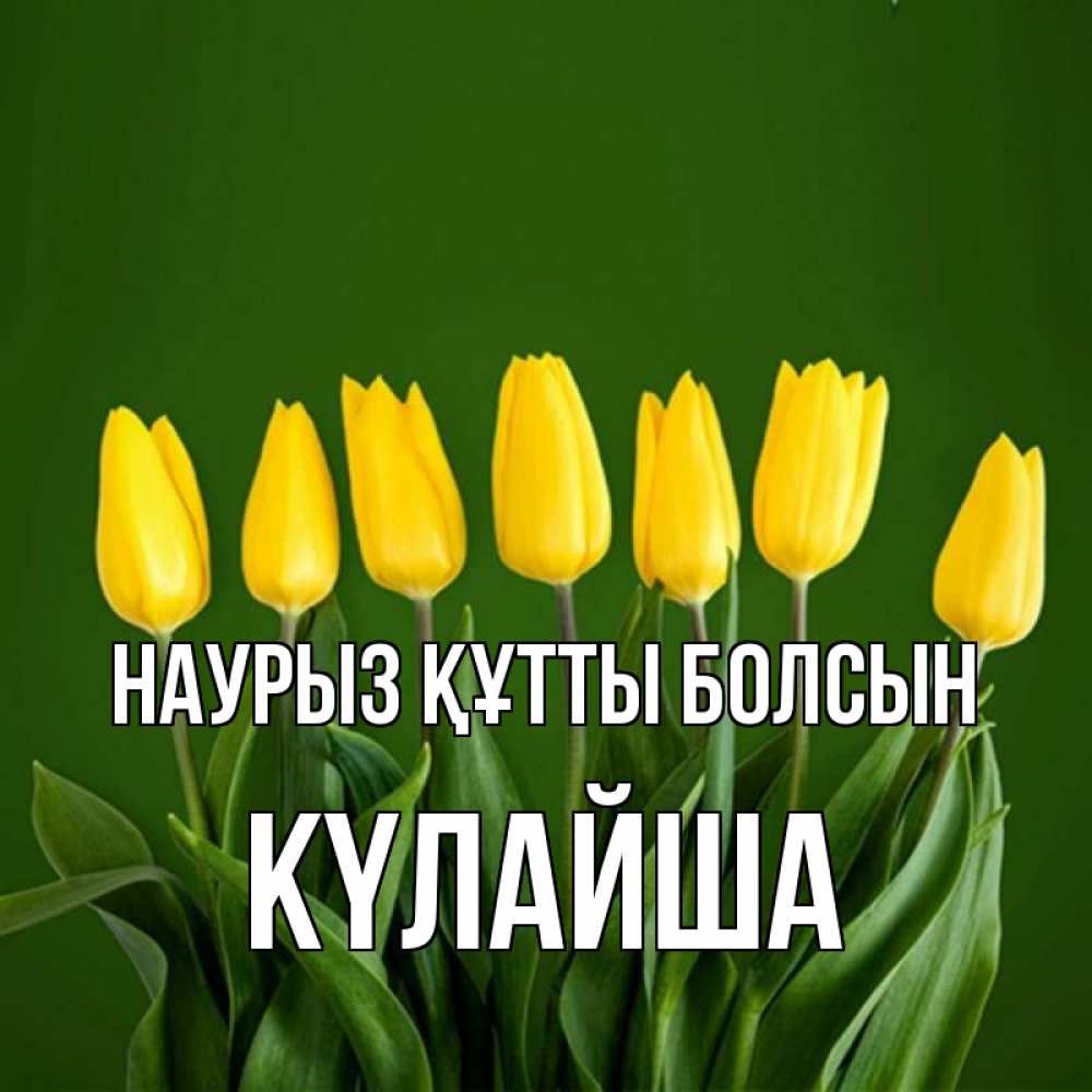 Күн сайын ашық хат с именем, КҮЛАЙША Наурыз құтты болсын желтого цвета 3 Онлайн тегін жүктеп алу тілектері бар керемет карта 