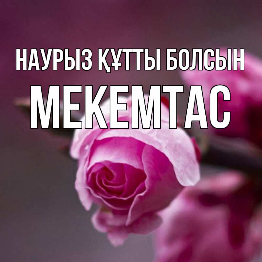 Күн сайын ашық хат с именем, МЕКЕМТАС Наурыз құтты болсын весна Онлайн тегін жүктеп алу тілектері бар керемет карта 