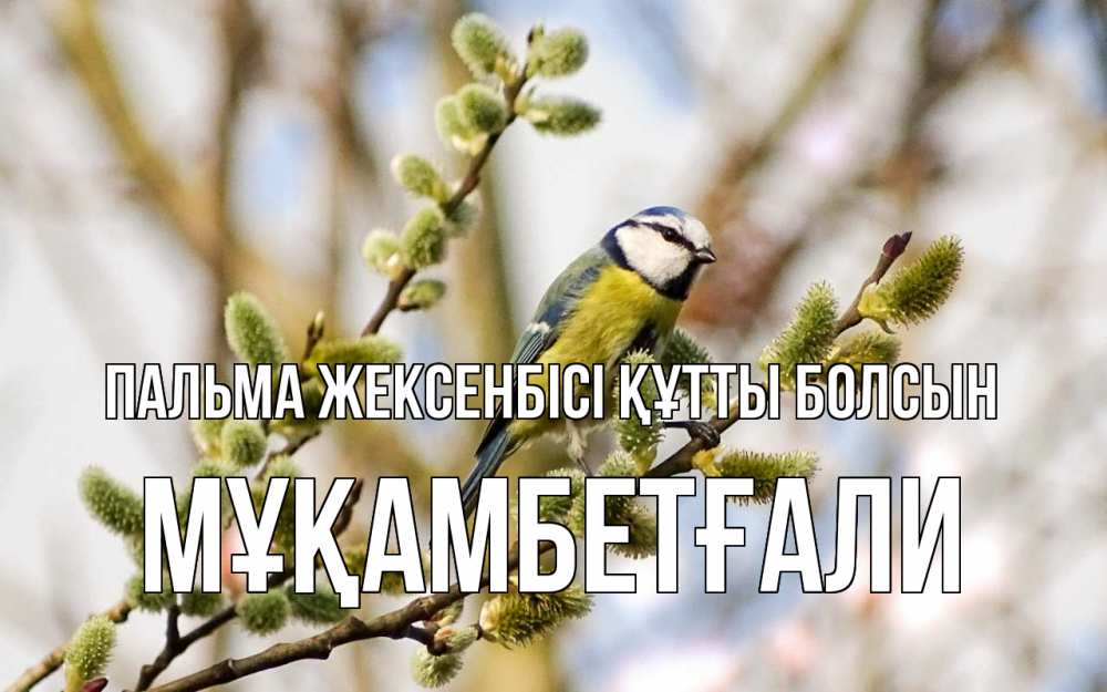 Күн сайын ашық хат с именем, Мұқамбетғали Пальма жексенбісі құтты болсын верба Онлайн тегін жүктеп алу тілектері бар керемет карта 