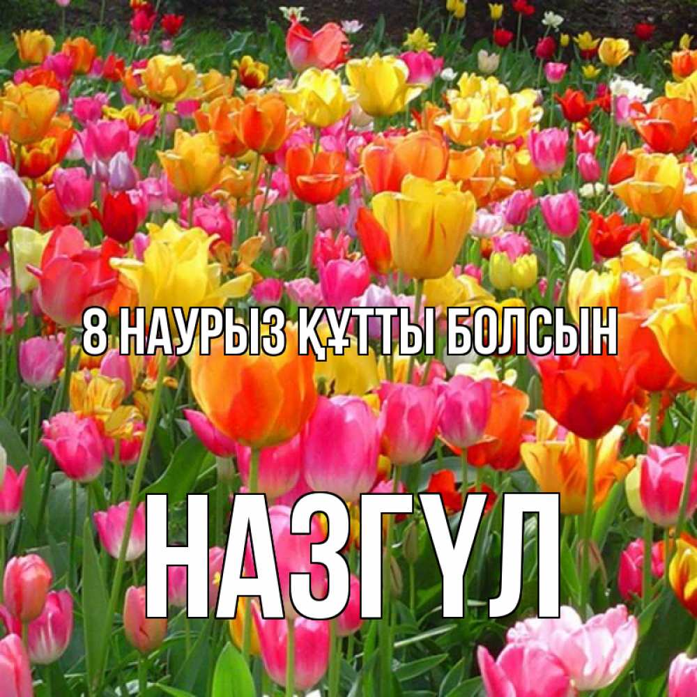 Күн сайын ашық хат с именем, НАЗГҮЛ 8 наурыз құтты болсын на международный женский день Онлайн тегін жүктеп алу тілектері бар керемет карта 