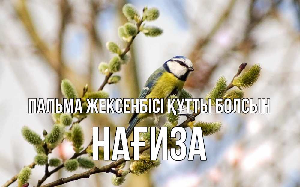 Күн сайын ашық хат с именем, НАҒИЗА Пальма жексенбісі құтты болсын верба Онлайн тегін жүктеп алу тілектері бар керемет карта 