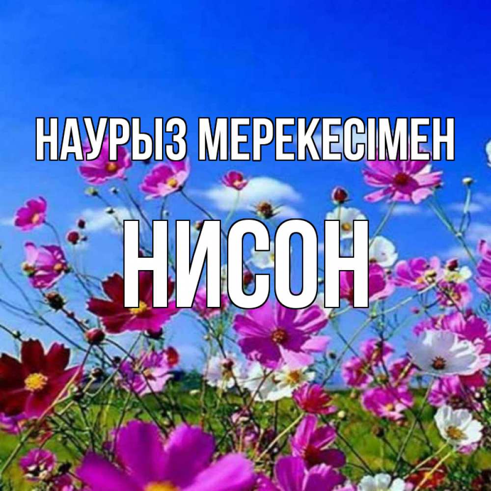 Күн сайын ашық хат с именем, Нисон Наурыз мерекесімен цветы Онлайн тегін жүктеп алу тілектері бар керемет карта 