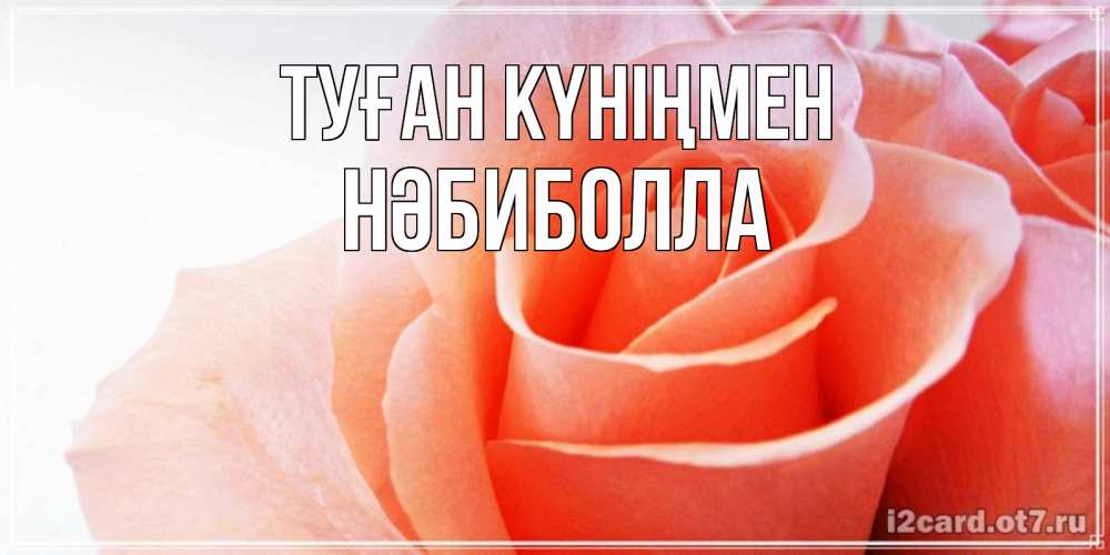 Күн сайын ашық хат с именем, НӘБИБОЛЛА Туған күніңмен розы для поздравления с днем рождения Онлайн тегін жүктеп алу тілектері бар керемет карта 