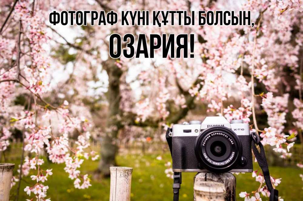 Күн сайын ашық хат с именем, ОЗАРИЯ Фотограф күні құтты болсын сирень с днем фотографа, фотоаппарат Онлайн тегін жүктеп алу тілектері бар керемет карта 