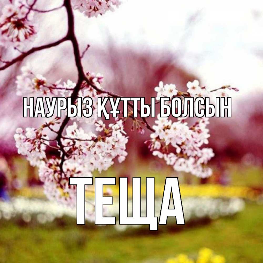 Күн сайын ашық хат с именем, Теща Наурыз құтты болсын яблоня Онлайн тегін жүктеп алу тілектері бар керемет карта 