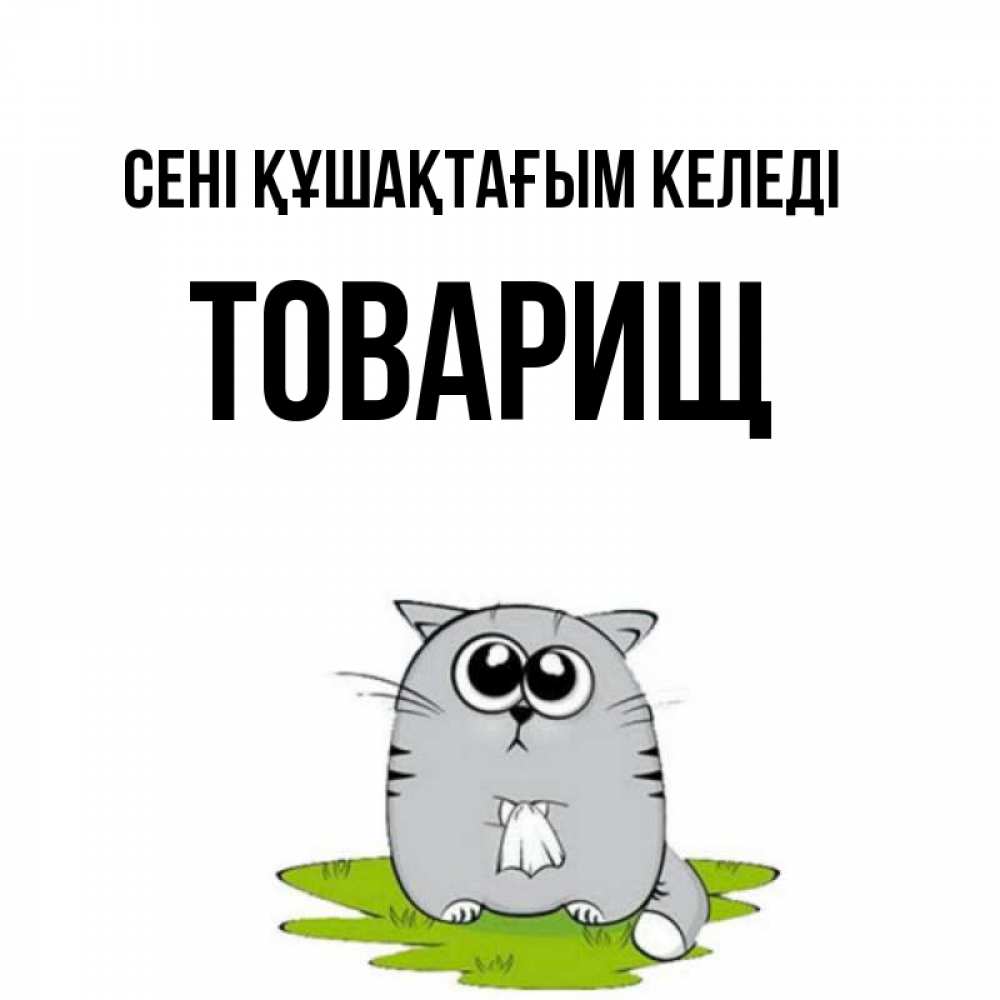 Күн сайын ашық хат с именем, Товарищ сені құшақтағым келеді котик теребит платочек сидя на травке Онлайн тегін жүктеп алу тілектері бар керемет карта 
