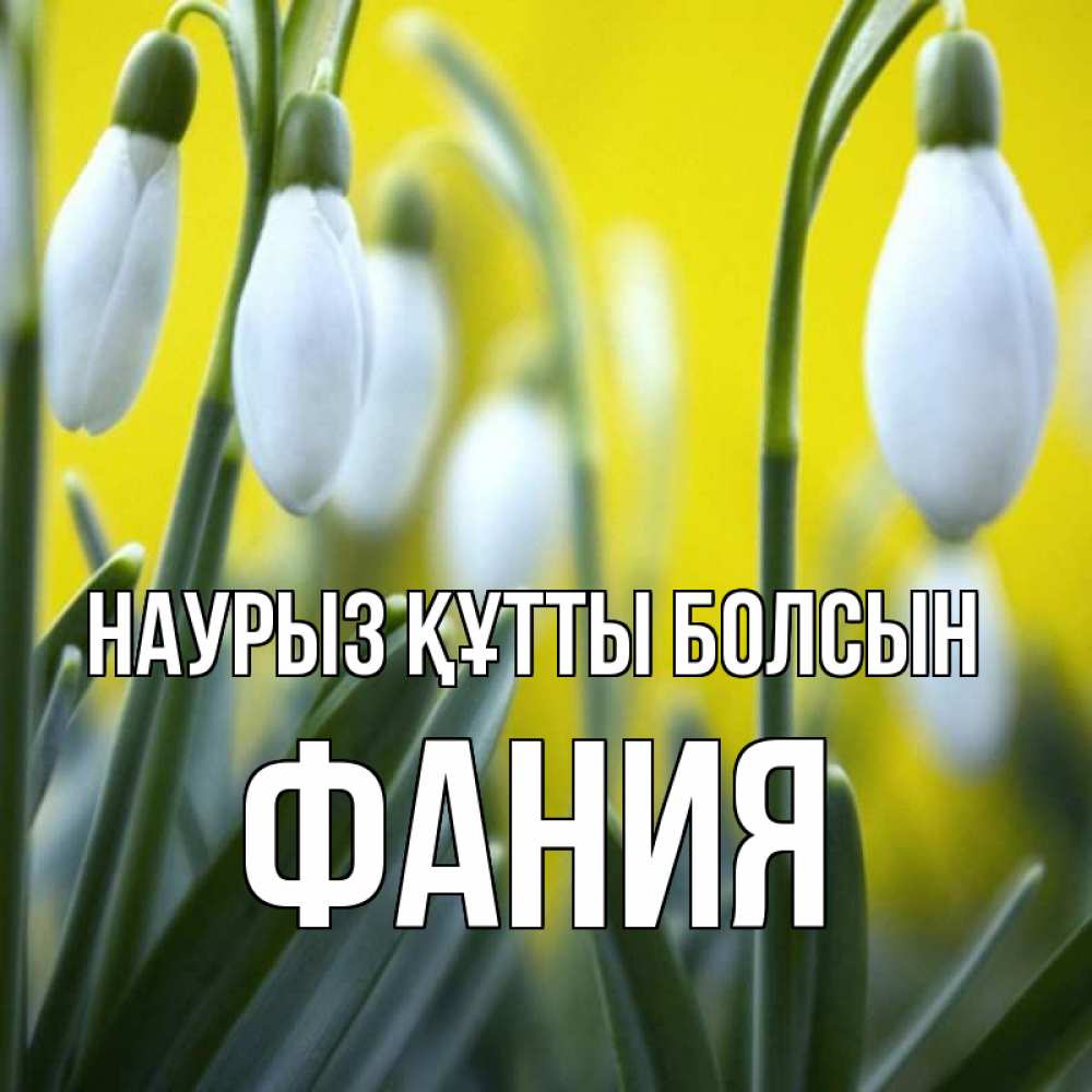 Күн сайын ашық хат с именем, Фания Наурыз құтты болсын весенние цветы Онлайн тегін жүктеп алу тілектері бар керемет карта 