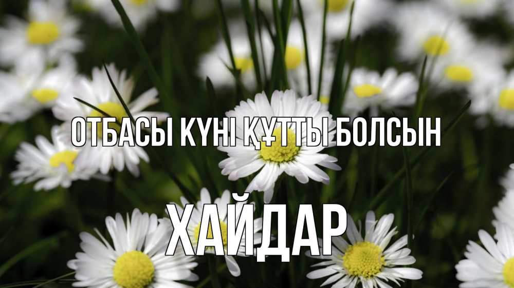 Күн сайын ашық хат с именем, ХАЙДАР отбасы күні құтты болсын с днем семьи  2 Онлайн тегін жүктеп алу тілектері бар керемет карта 