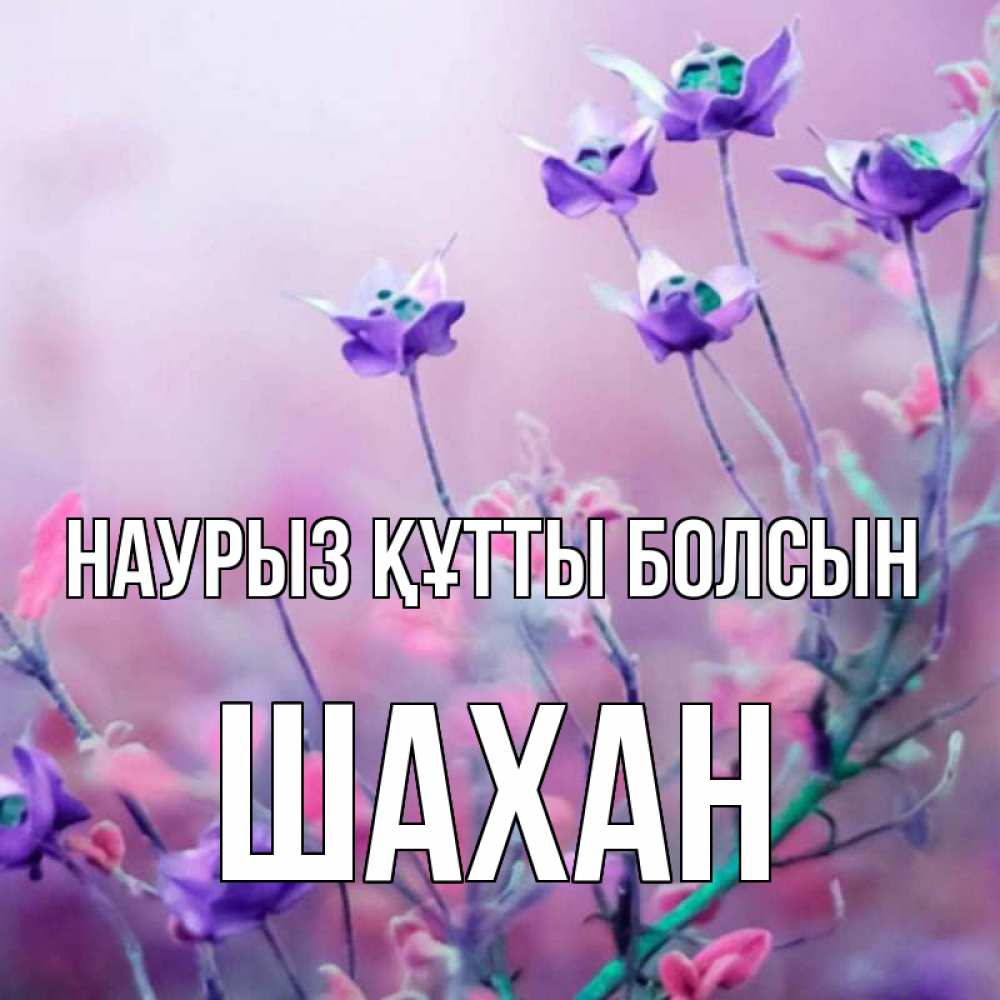 Күн сайын ашық хат с именем, ШАХАН Наурыз құтты болсын наурыз  2 Онлайн тегін жүктеп алу тілектері бар керемет карта 