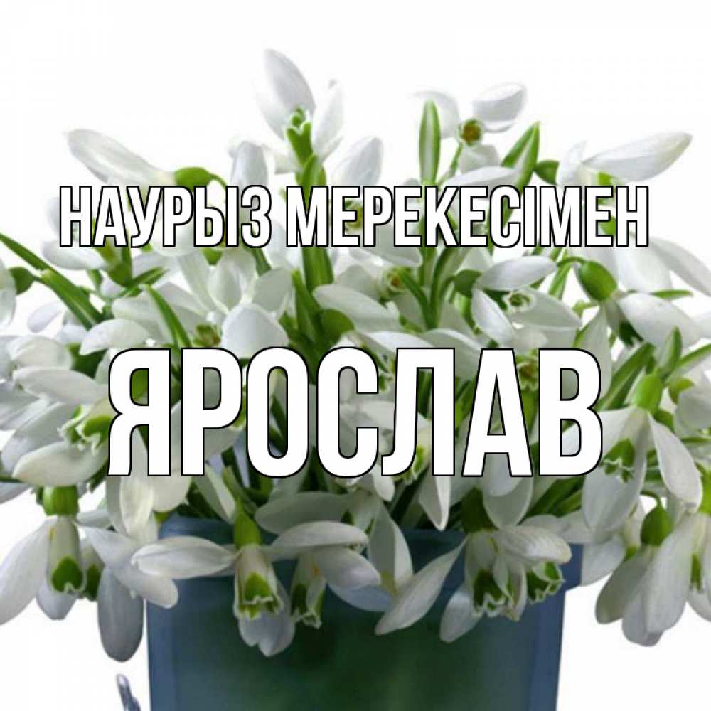 Күн сайын ашық хат с именем, Ярослав Наурыз мерекесімен цветы к наурызу новый год в Казахстане Онлайн тегін жүктеп алу тілектері бар керемет карта 