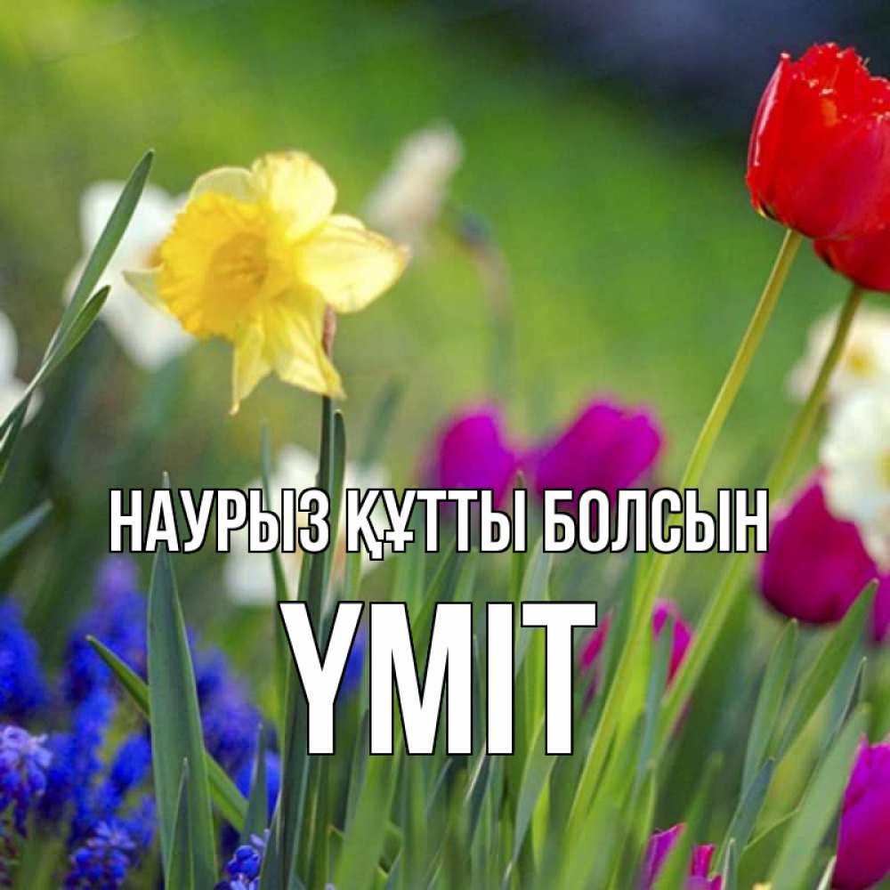 Күн сайын ашық хат с именем, ҮМІТ Наурыз құтты болсын наурыз  3 открытки Онлайн тегін жүктеп алу тілектері бар керемет карта 