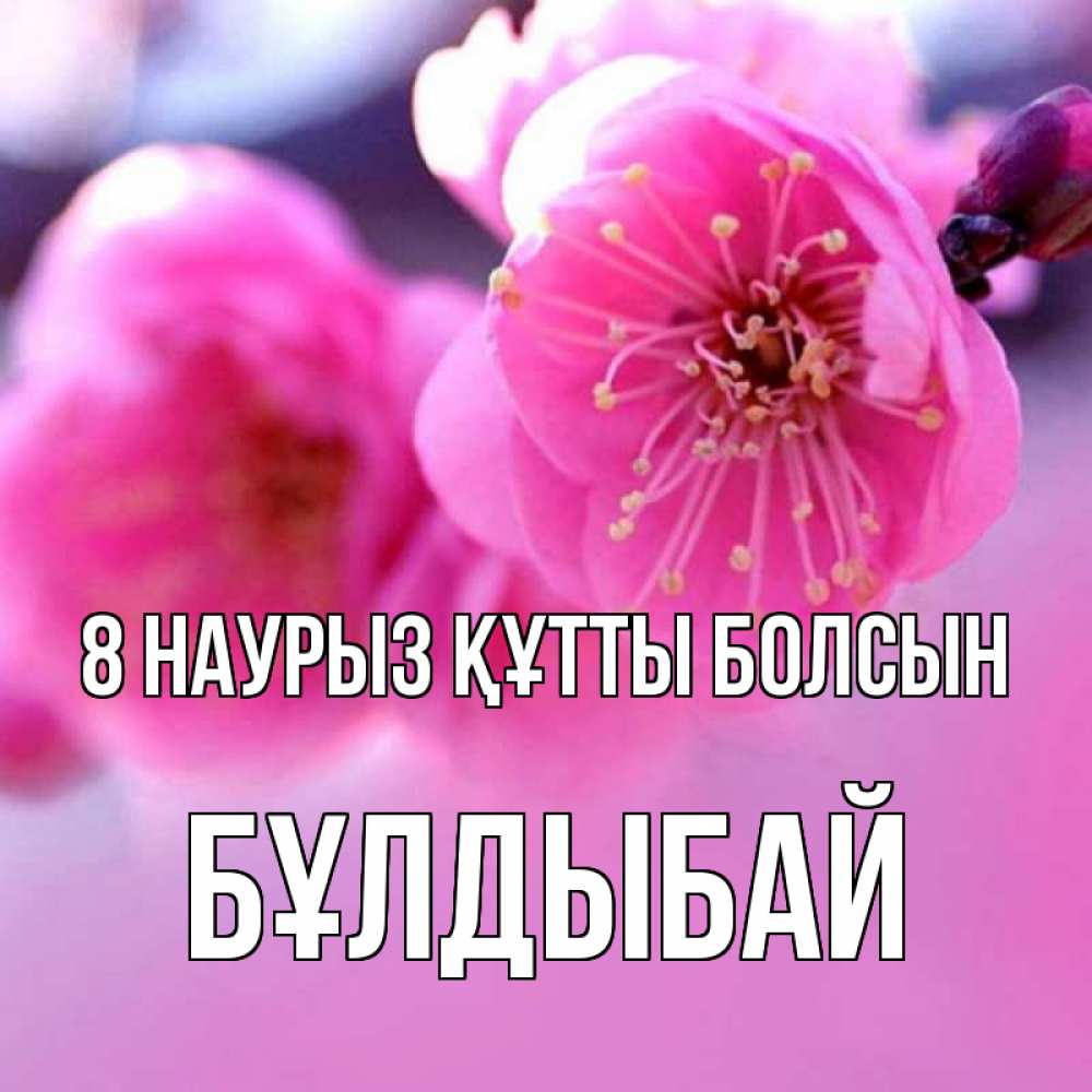 Күн сайын ашық хат с именем, Бұлдыбай 8 наурыз құтты болсын международный женский день Онлайн тегін жүктеп алу тілектері бар керемет карта 