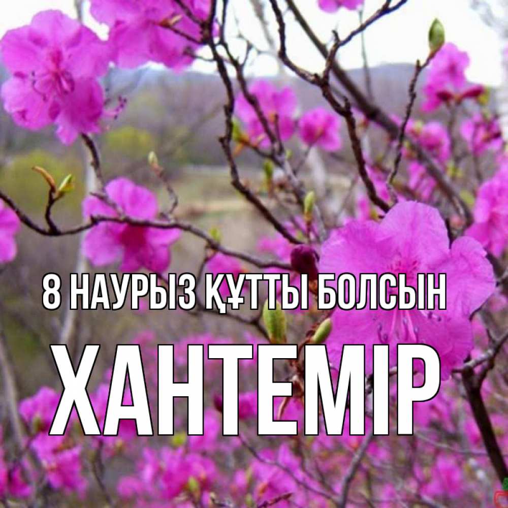 Күн сайын ашық хат с именем, ХАНТЕМІР 8 наурыз құтты болсын международный женский день Онлайн тегін жүктеп алу тілектері бар керемет карта 