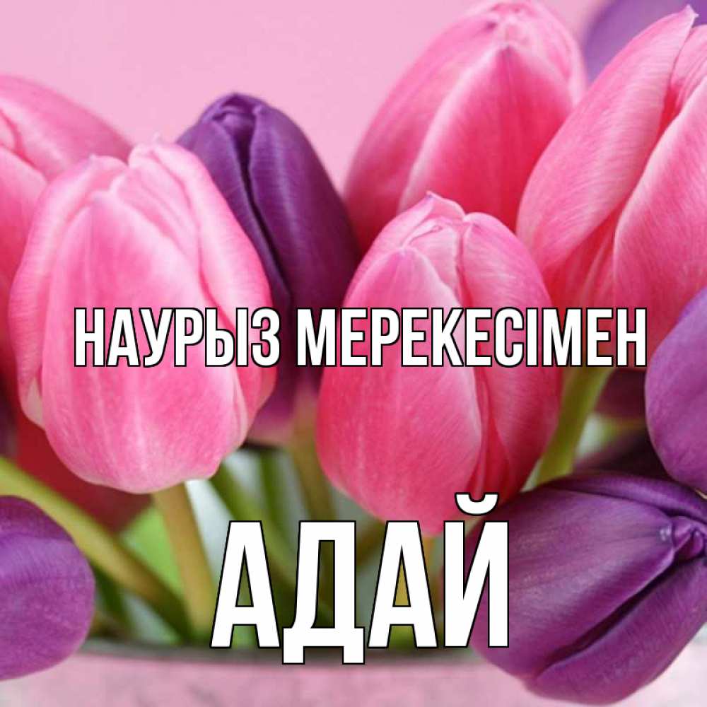 Күн сайын ашық хат с именем, Адай Наурыз мерекесімен маме 1 Онлайн тегін жүктеп алу тілектері бар керемет карта 