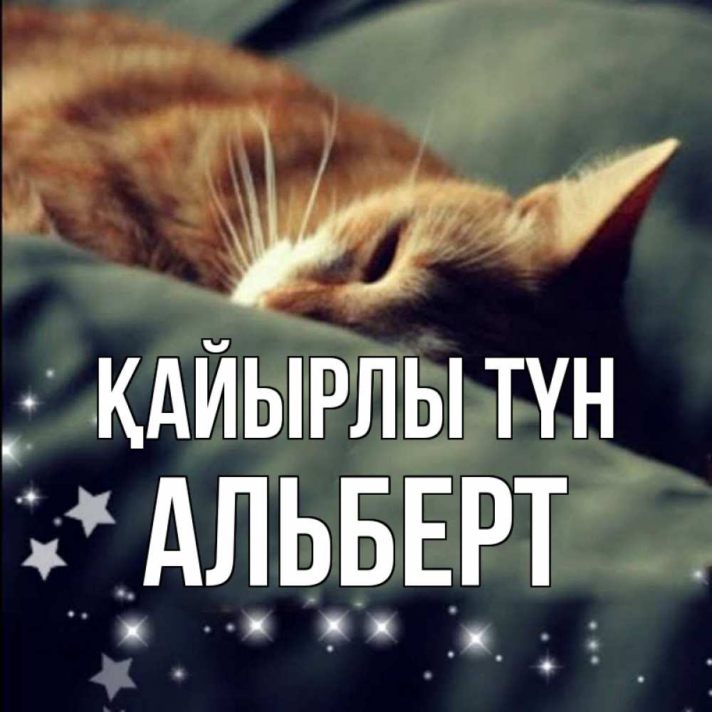 Күн сайын ашық хат с именем, Альберт Қайырлы түн кроватка Онлайн тегін жүктеп алу тілектері бар керемет карта 