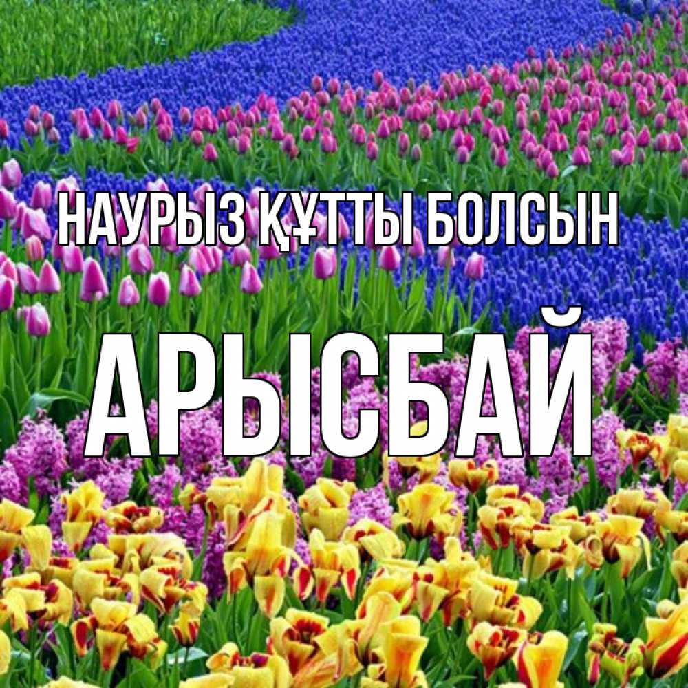 Күн сайын ашық хат с именем, Арысбай Наурыз құтты болсын цветы Онлайн тегін жүктеп алу тілектері бар керемет карта 