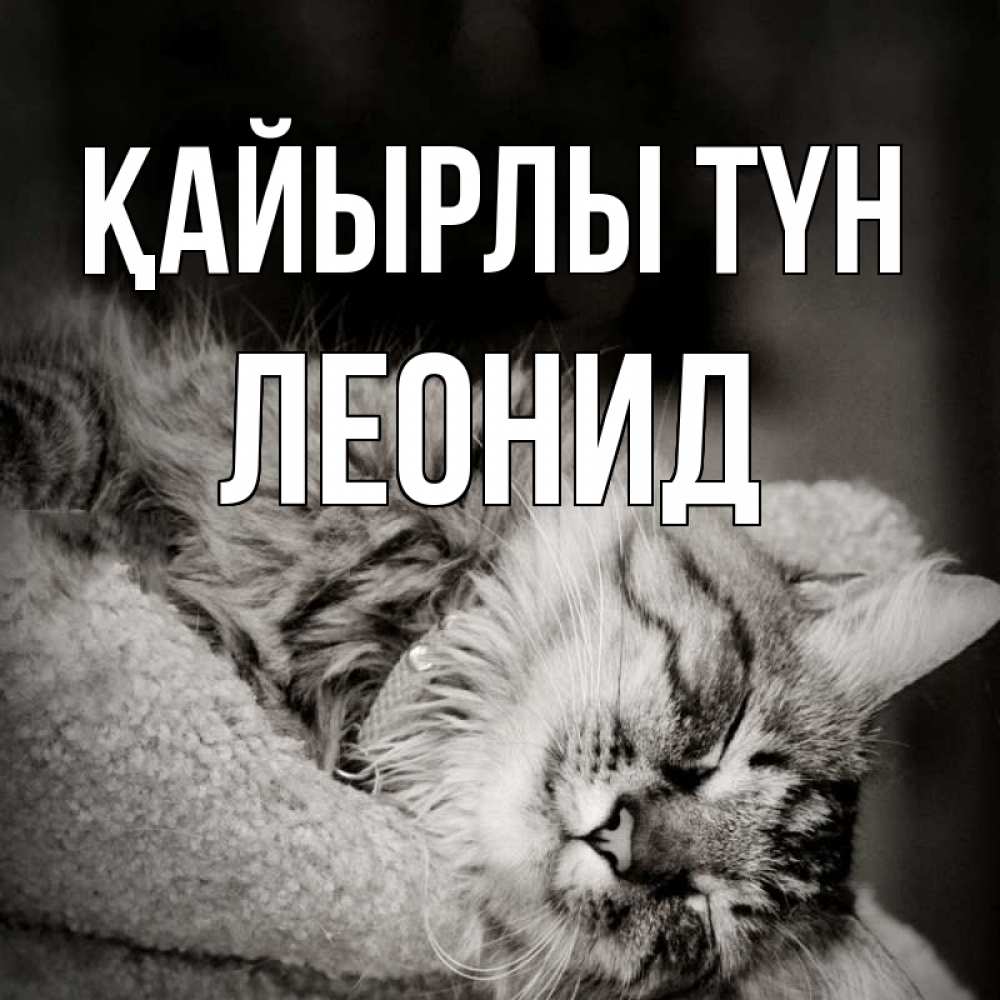 Күн сайын ашық хат с именем, Леонид Қайырлы түн котярик пушистый Онлайн тегін жүктеп алу тілектері бар керемет карта 