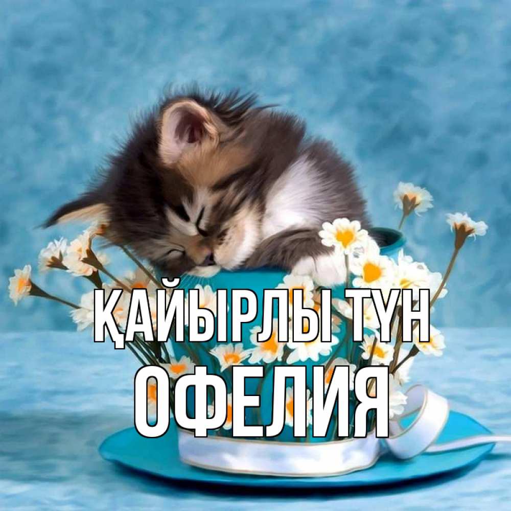 Күн сайын ашық хат с именем, Офелия Қайырлы түн котенок спит в кружке с блюдцем Онлайн тегін жүктеп алу тілектері бар керемет карта 