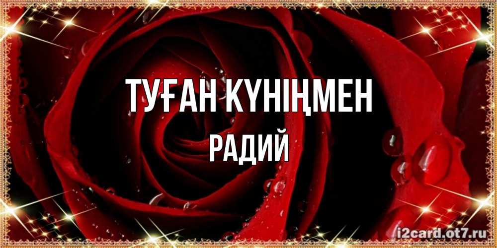 Күн сайын ашық хат с именем, Радий Туған күніңмен цветок в росе на день рождения Онлайн тегін жүктеп алу тілектері бар керемет карта 