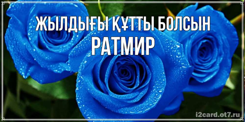 Күн сайын ашық хат с именем, Ратмир Жылдығы құтты болсын розы с синим цветом Онлайн тегін жүктеп алу тілектері бар керемет карта 