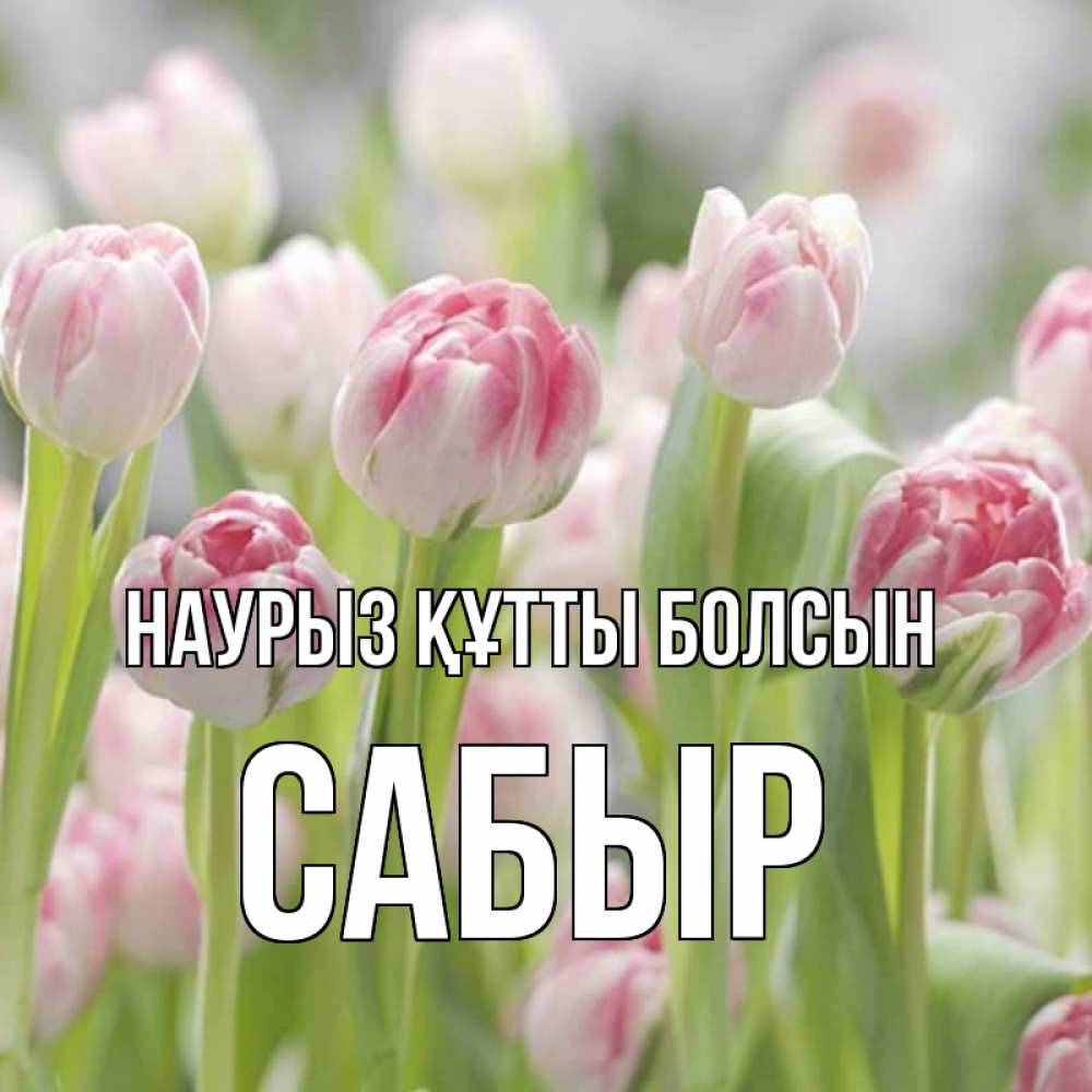 Күн сайын ашық хат с именем, САБЫР Наурыз құтты болсын цветы Онлайн тегін жүктеп алу тілектері бар керемет карта 