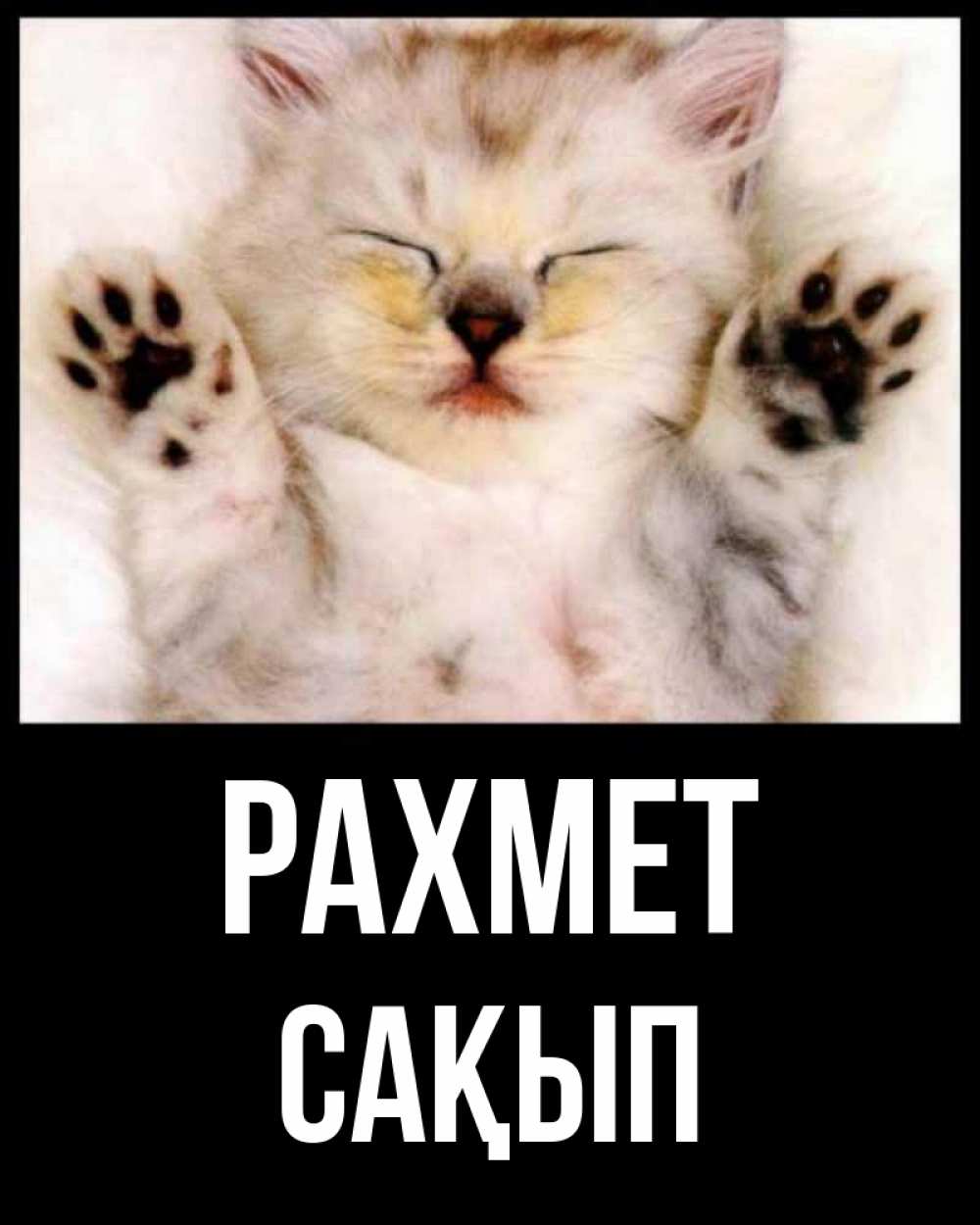 Күн сайын ашық хат с именем, САҚЫП рахмет маленький котенок Онлайн тегін жүктеп алу тілектері бар керемет карта 