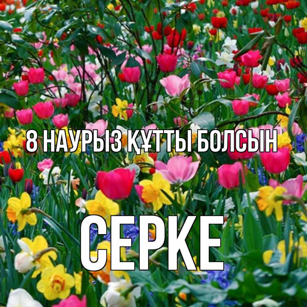Күн сайын ашық хат с именем, СЕРКЕ 8 наурыз құтты болсын с международным женским днем поздравления для женщины Онлайн тегін жүктеп алу тілектері бар керемет карта 