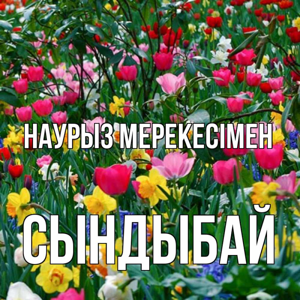 Күн сайын ашық хат с именем, СЫНДЫБАЙ Наурыз мерекесімен с наурызом праздником весны поздравления для женщины Онлайн тегін жүктеп алу тілектері бар керемет карта 