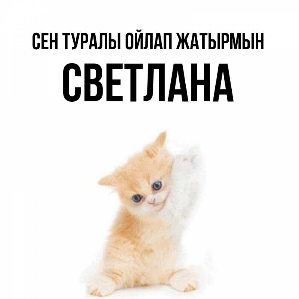 Күн сайын ашық хат с именем, Светлана Сен туралы ойлап жатырмын зверушки и милота Онлайн тегін жүктеп алу тілектері бар керемет карта 