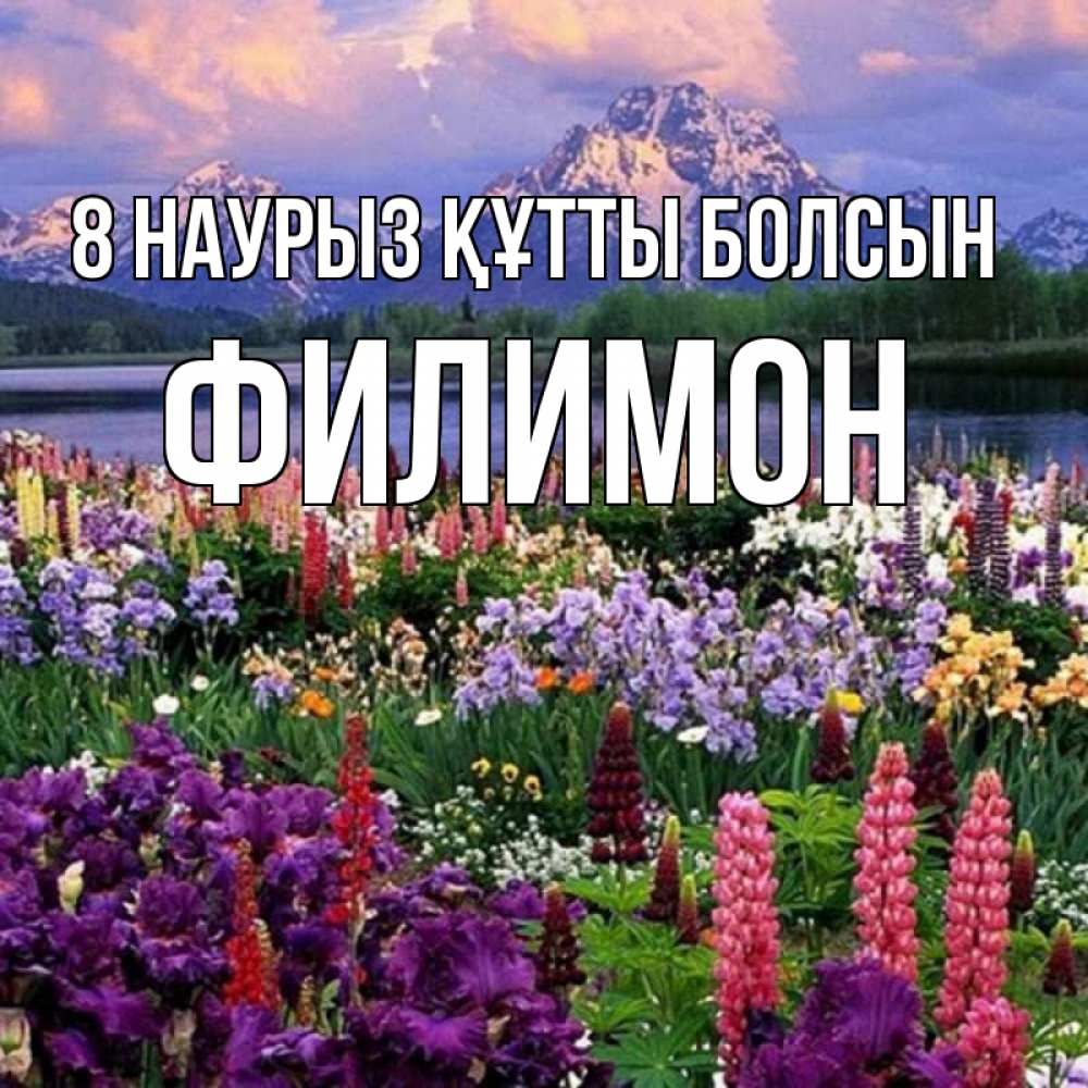 Күн сайын ашық хат с именем, Филимон 8 наурыз құтты болсын международный женский день Онлайн тегін жүктеп алу тілектері бар керемет карта 