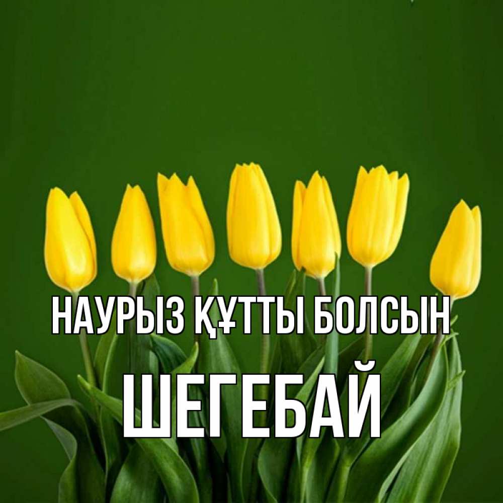 Күн сайын ашық хат с именем, ШЕГЕБАЙ Наурыз құтты болсын желтого цвета 3 Онлайн тегін жүктеп алу тілектері бар керемет карта 