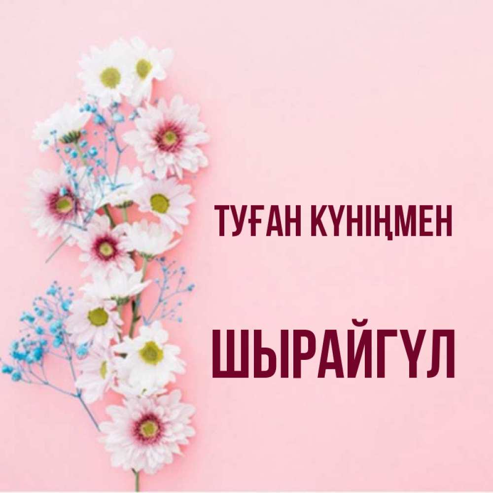 Күн сайын ашық хат с именем, ШЫРАЙГҮЛ Туған күніңмен Родная моя с днем рождения тебя картинка с цветами белыми и голубыми Онлайн тегін жүктеп алу тілектері бар керемет карта 