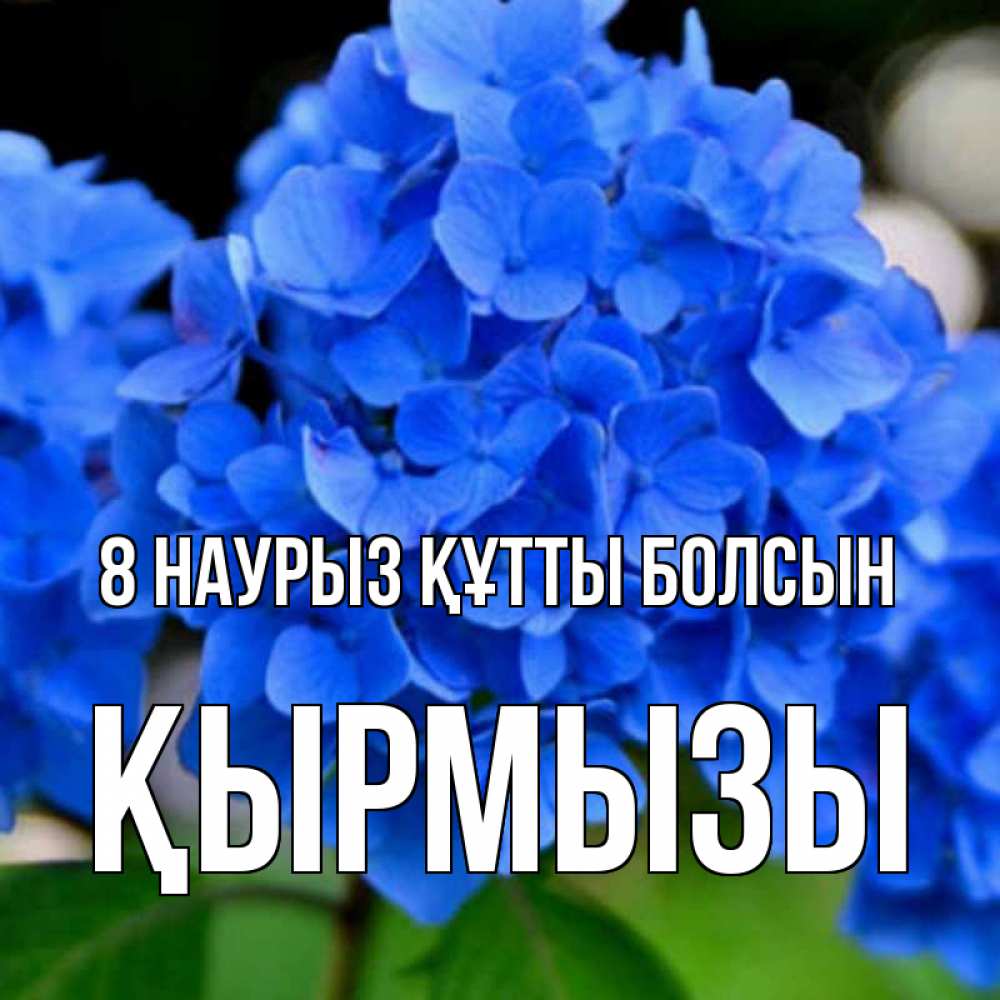 Күн сайын ашық хат с именем, ҚЫРМЫЗЫ 8 наурыз құтты болсын синие цветы Онлайн тегін жүктеп алу тілектері бар керемет карта 