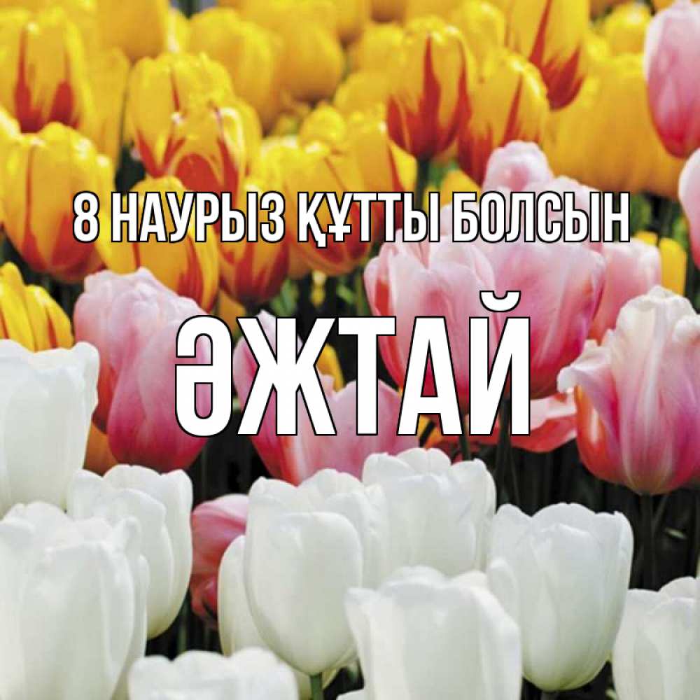 Күн сайын ашық хат с именем, Әжтай 8 наурыз құтты болсын разноцветные цветы Онлайн тегін жүктеп алу тілектері бар керемет карта 