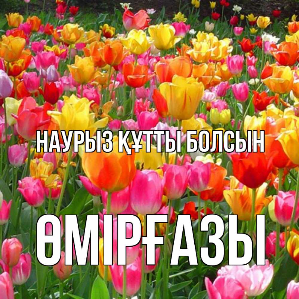 Күн сайын ашық хат с именем, ӨМІРҒАЗЫ Наурыз құтты болсын на наурыз  ура ура Онлайн тегін жүктеп алу тілектері бар керемет карта 