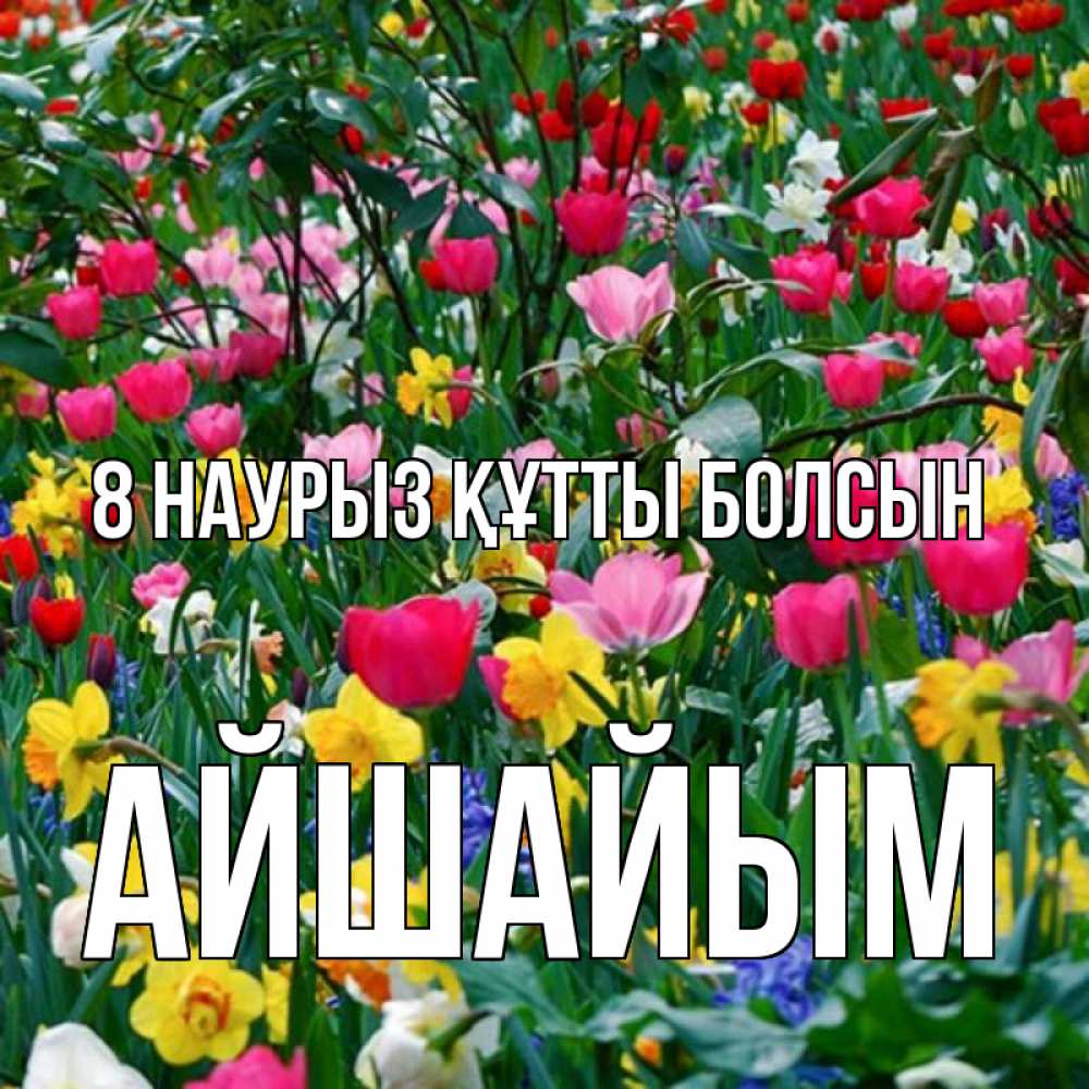 Күн сайын ашық хат с именем, АЙШАЙЫМ 8 наурыз құтты болсын с международным женским днем поздравления для женщины Онлайн тегін жүктеп алу тілектері бар керемет карта 