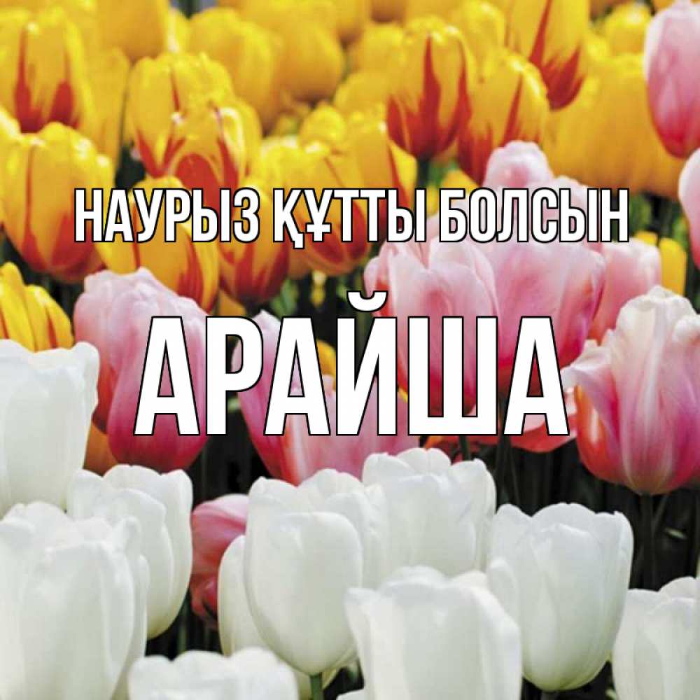 Күн сайын ашық хат с именем, АРАЙША Наурыз құтты болсын разноцветные цветы Онлайн тегін жүктеп алу тілектері бар керемет карта 