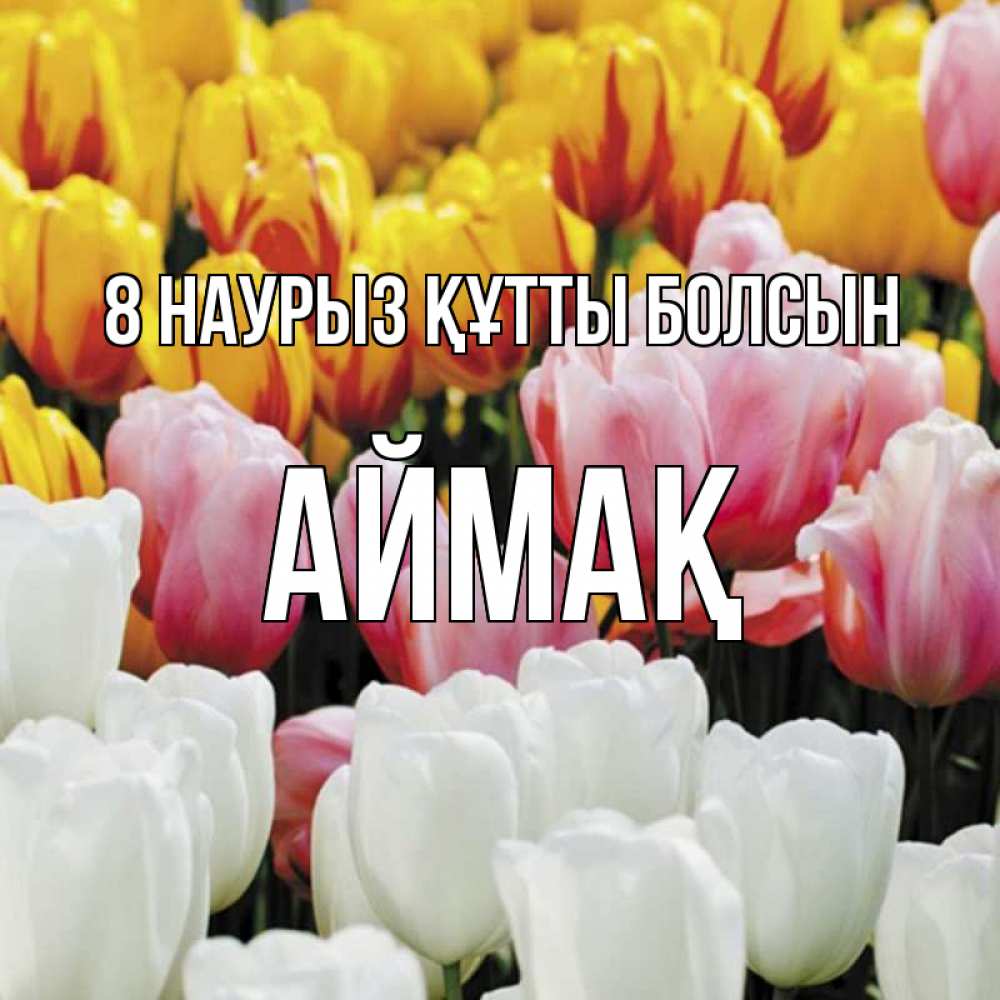 Күн сайын ашық хат с именем, Аймақ 8 наурыз құтты болсын разноцветные цветы Онлайн тегін жүктеп алу тілектері бар керемет карта 