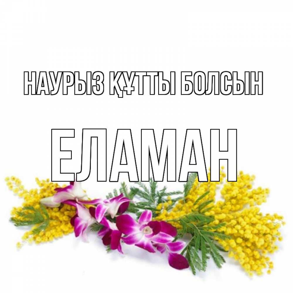 Күн сайын ашық хат с именем, Еламан Наурыз құтты болсын открытка  наурыз с цветами  1 Онлайн тегін жүктеп алу тілектері бар керемет карта 