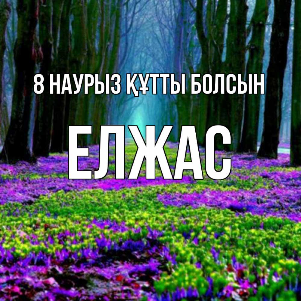 Күн сайын ашық хат с именем, Елжас 8 наурыз құтты болсын фиолетовые цветы в лесу 1 Онлайн тегін жүктеп алу тілектері бар керемет карта 