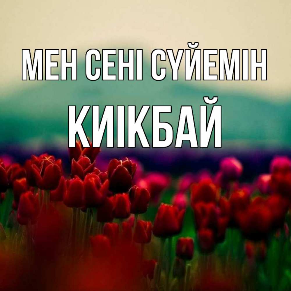 Күн сайын ашық хат с именем, Киікбай Мен сені сүйемін тюльпаны 4 Онлайн тегін жүктеп алу тілектері бар керемет карта 