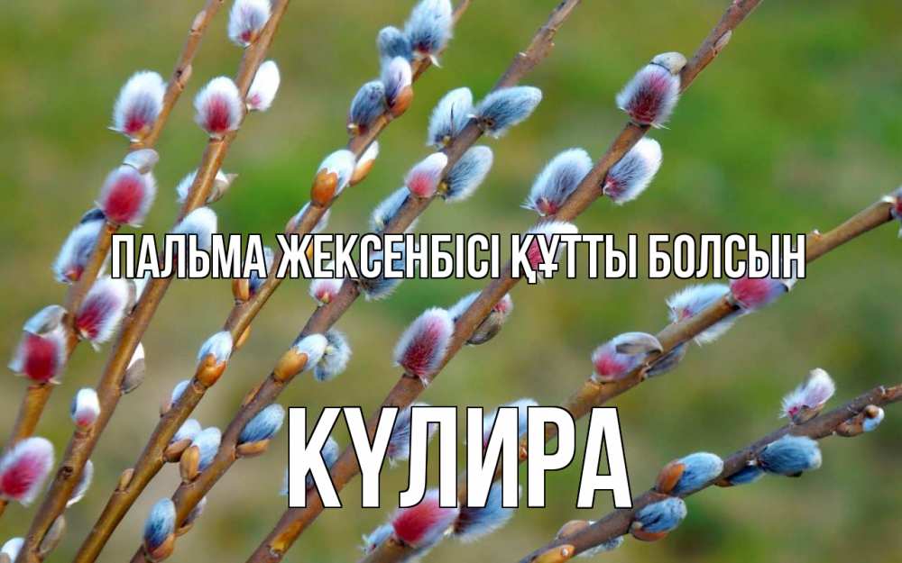 Күн сайын ашық хат с именем, КҮЛИРА Пальма жексенбісі құтты болсын верба Онлайн тегін жүктеп алу тілектері бар керемет карта 