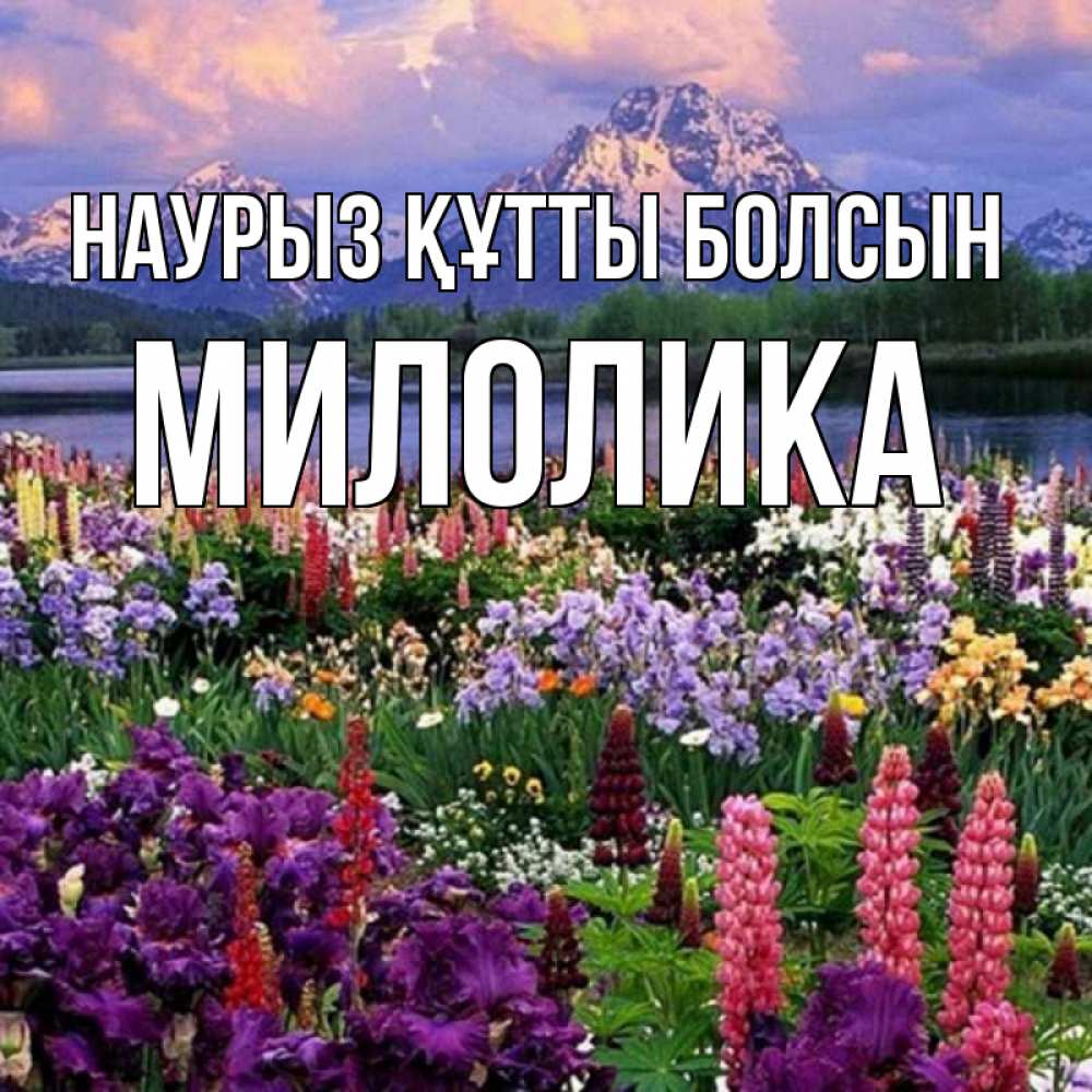 Күн сайын ашық хат с именем, Милолика Наурыз құтты болсын наурыз Онлайн тегін жүктеп алу тілектері бар керемет карта 